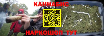 стаф Кингисепп