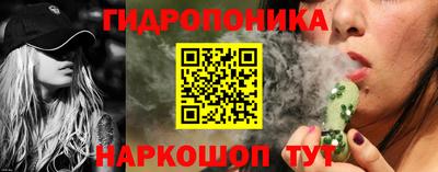 стаф Кингисепп