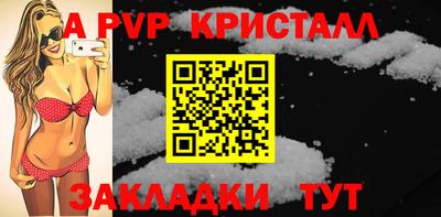 стаф Кингисепп