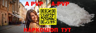 стаф Кингисепп