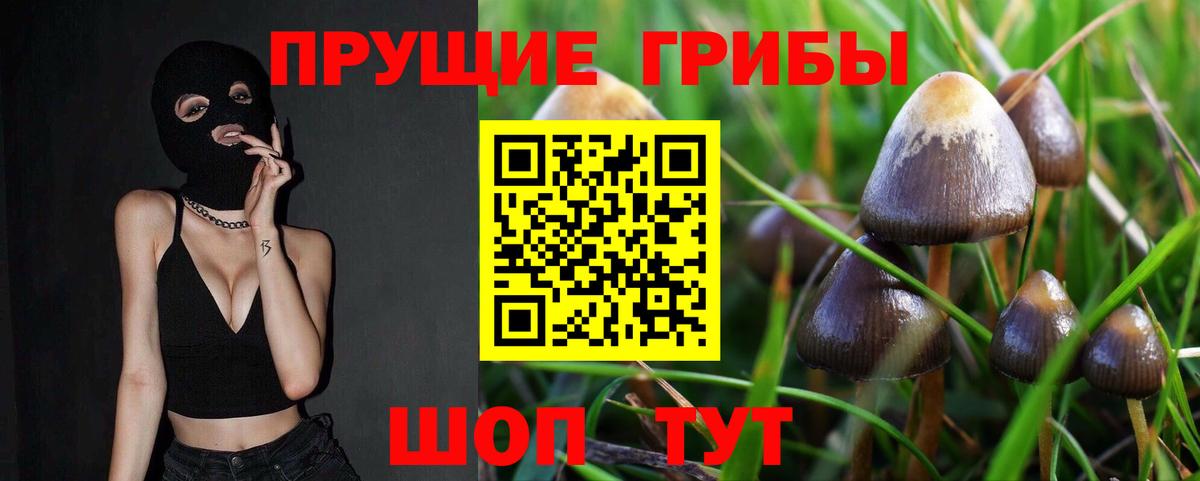 Королёв  Псилоцибиновые грибы ЛСД  Вход с VPN 